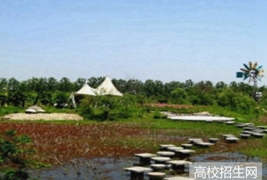 乐山旅游学校