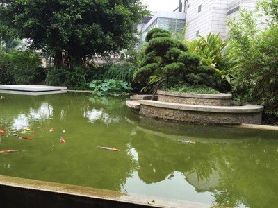 自贡职业技工学校
