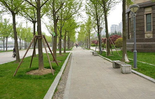 成都艺术职业大学