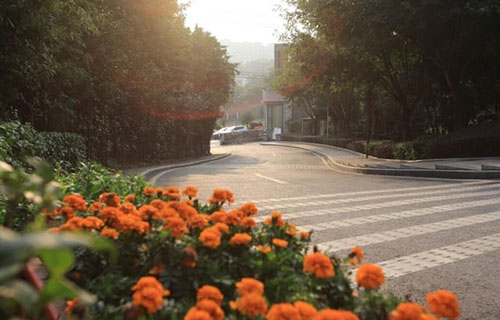 江油市职业中学校